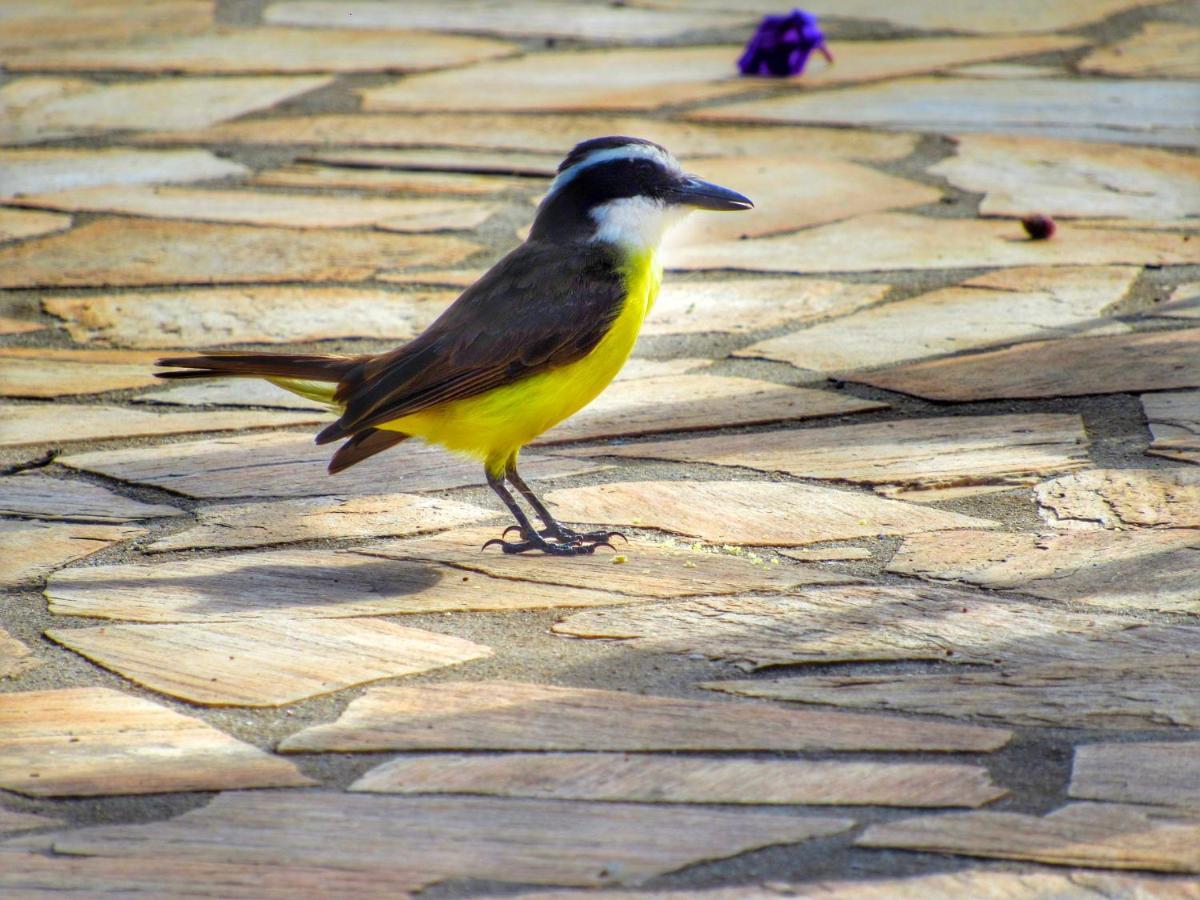 Pousada Mandalla Serra do Cipo National Park Extérieur photo